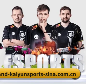 开云体育 APP（KAIYUN SPORTS）